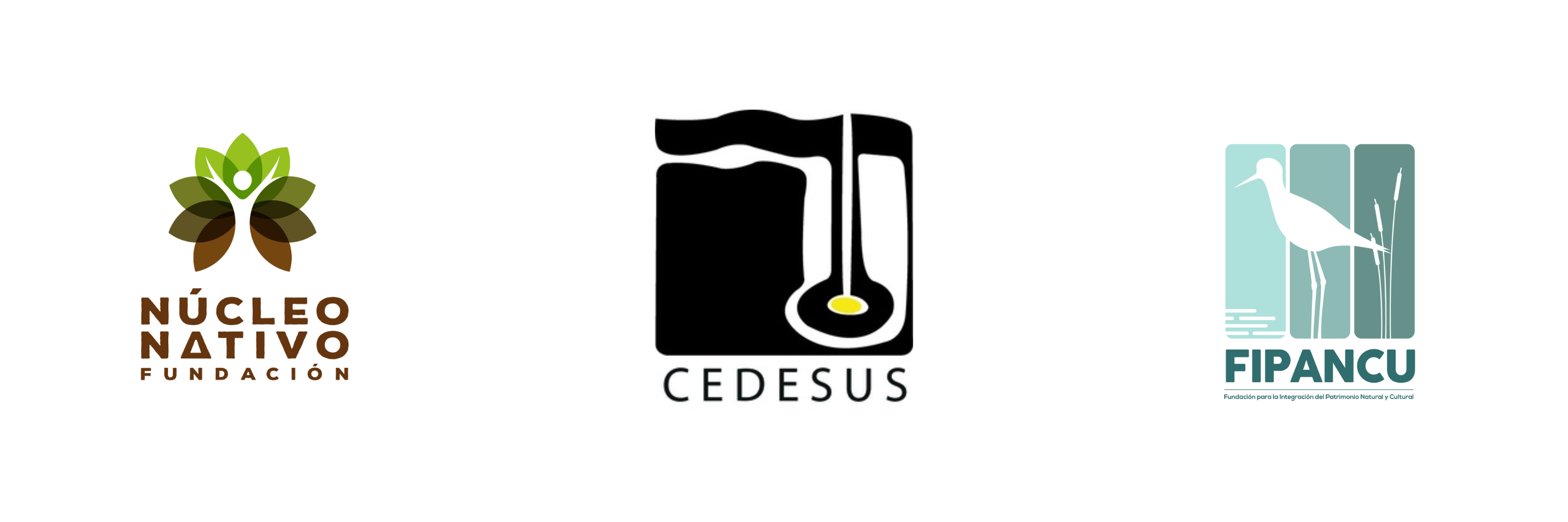 Logos6