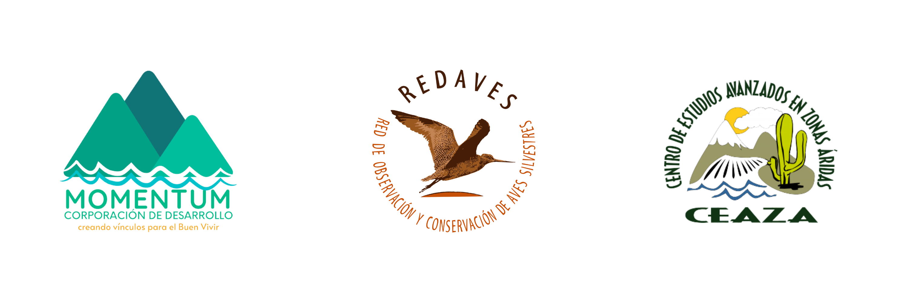 Logos8
