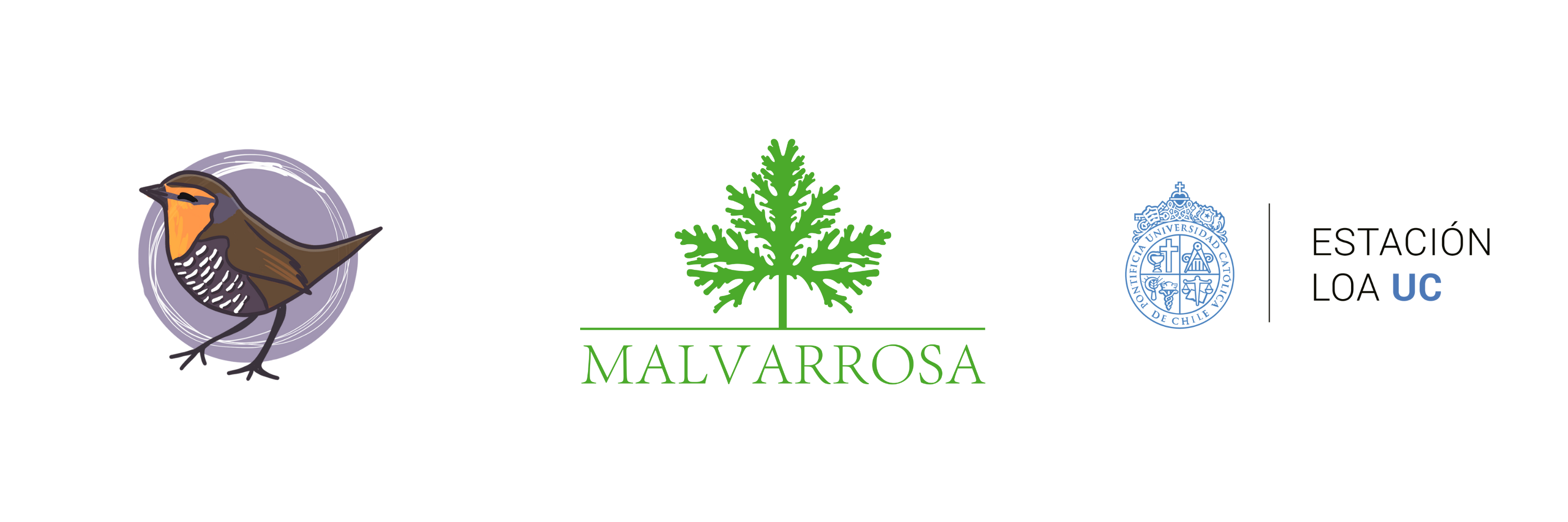 Logos9